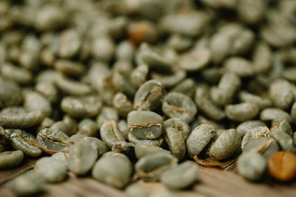 تنوع در دانه خام قهوه